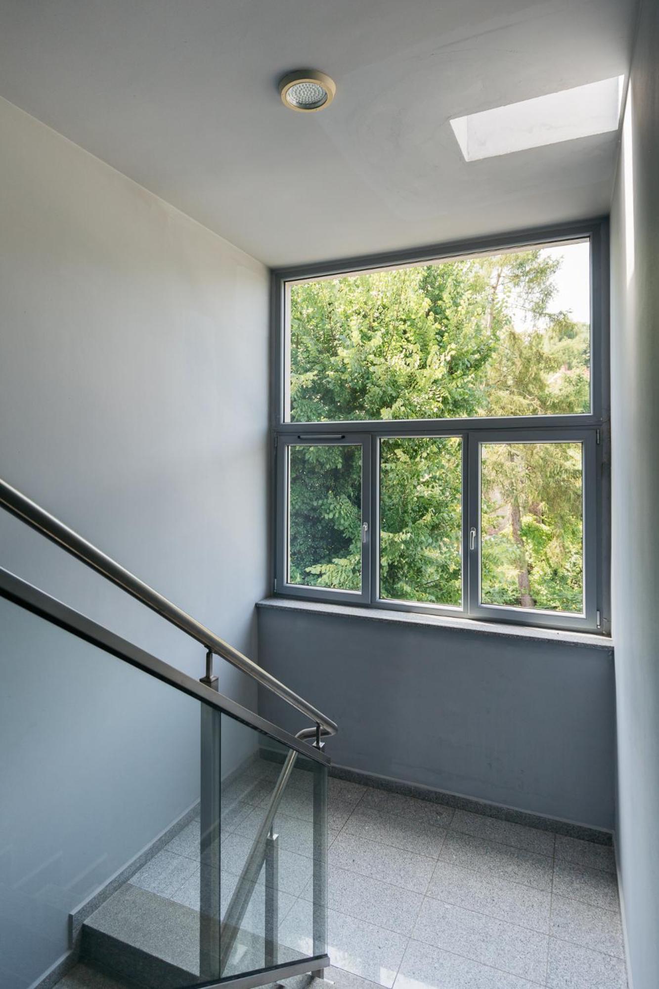 Wetlands Apartment - Loftaffair Kraków Zewnętrze zdjęcie